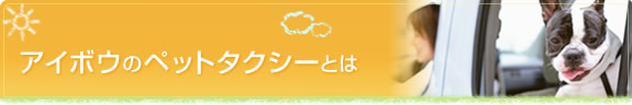 �A�C�{�E�̃y�b�g�^�N�V�[�Ƃ�