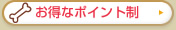 �����ȃ|�C���g��
