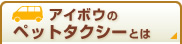 �A�C�{�E�̃y�b�g�^�N�V�[�Ƃ�