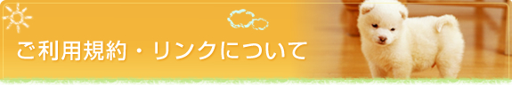 ご利用規約・リンクについて